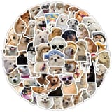 Conjunto de decenas de calcomanías con fotos de perros acomodadas en forma circular.