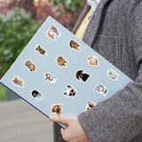 Persona sosteniendo una computadora portátil decorada con múltiples calcomanías de perros.