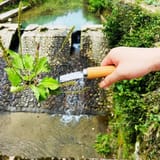 Una mano sostiene una herramienta corta de mango de madera cuya hoja curva sujeta una planta con raíz, con un canal de piedra y agua al fondo.