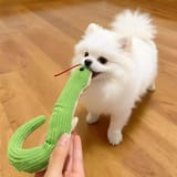 Perro blanco esponjoso en piso de madera tirando del extremo de la serpiente mientras una mano humana sostiene la cola del juguete