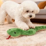 Perro blanco de pie en una alfombra con las patas delanteras sobre la serpiente verde estirada en el suelo