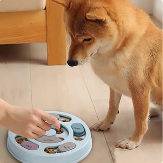 Comedero dispensador interactivo de alimentación lenta para perros