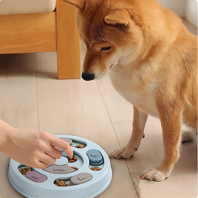 Comedero dispensador interactivo de alimentación lenta para perros